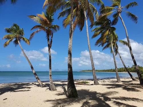 Vistas, Appartement confortable avec vue sur la mer in Gros-Morne Vistas, Appartement confortable avec vue sur la mer in Gros-Morne