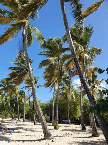 Vistas, Appartement confortable avec vue sur la mer in Gros-Morne Vistas, Appartement confortable avec vue sur la mer in Gros-Morne