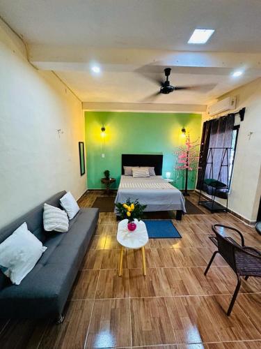 Casita Salome in Sta Ana Casita Salome in Sta Ana