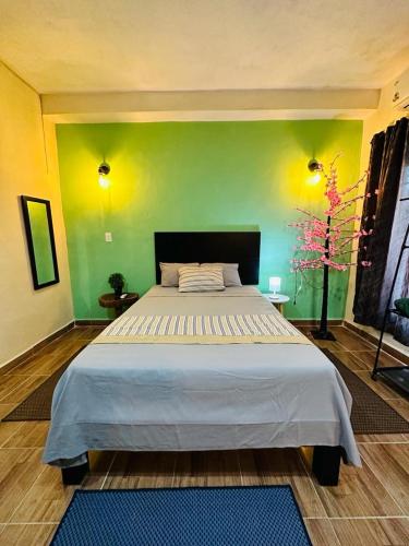 Casita Salome in Sta Ana Casita Salome in Sta Ana