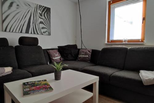 Ferienwohnung Buddy in Duderstadt Ferienwohnung Buddy in Duderstadt