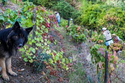 This photo about Quinta de Marrocos shared on HyHotel.com