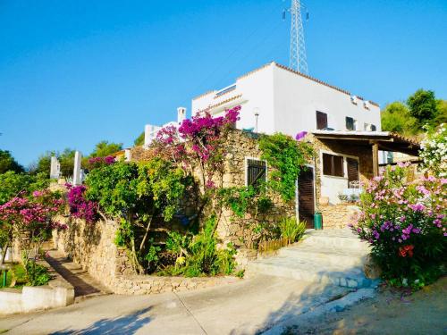 Affittacamere Villa Flores in San Teodoro City Centre Affittacamere Villa Flores in San Teodoro City Centre
