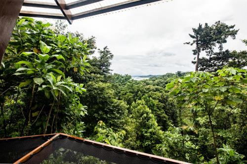 La Loma Jungle Lodge and Chocolate Farm in 巴斯蒂門多斯島 La Loma Jungle Lodge and Chocolate Farm in 巴斯蒂門多斯島