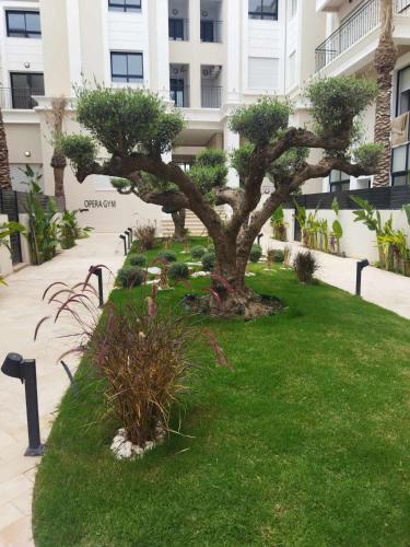 Olfa cosy appart in Sidi Daoud Olfa cosy appart in Sidi Daoud