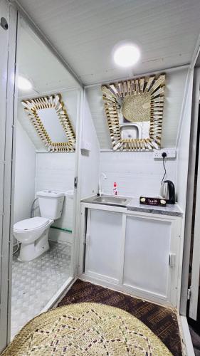 حمام, Big bear camping in مزيرعة حمام, Big bear camping in مزيرعة