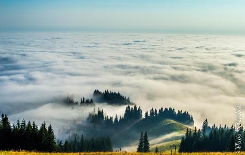 رياضة و نشاطات, Sadyba Lileya in Verhovyna رياضة و نشاطات, Sadyba Lileya in Verhovyna