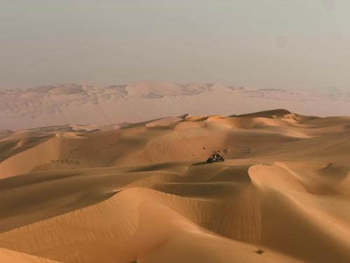 Liwa Nights ليالي ليوا in Madinat Zayid Liwa Nights ليالي ليوا in Madinat Zayid