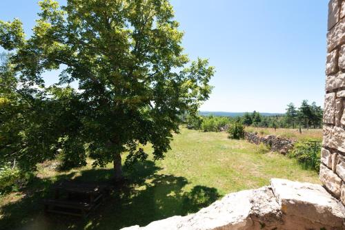 Gite Gite La Vicairie 4/5 personnes in Mostuejouls Gite Gite La Vicairie 4/5 personnes in Mostuejouls