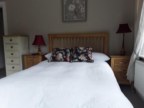 FOREST VIEW Woodland lodge in Wicklow FOREST VIEW Woodland lodge in Wicklow