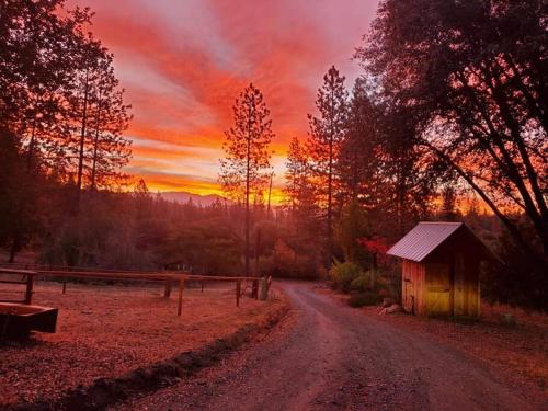 Jordan Creek Ranch in Coulterville (CA) Jordan Creek Ranch in Coulterville (CA)