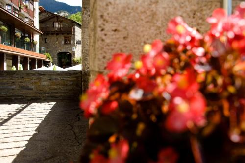 Comoditats, Hotel Santa Barbara De La Vall D'ordino in Ordino Comoditats, Hotel Santa Barbara De La Vall D'ordino in Ordino