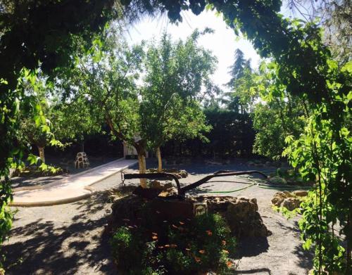 A szálláshely kívülről, Casa El Patas in Urda A szálláshely kívülről, Casa El Patas in Urda