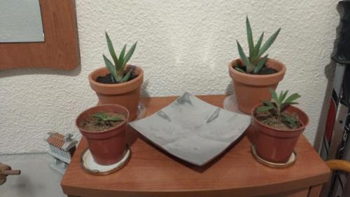 Vestíbulo, HABÍTACION DOBLE PARa VISITAR CORDOBA (HABITACION DOBLE PARa VISITAR CORDOBA) in Cordoba Suburbs Vestíbulo, HABÍTACION DOBLE PARa VISITAR CORDOBA (HABITACION DOBLE PARa VISITAR CORDOBA) in Cordoba Suburbs