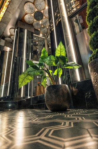 MAGNIFIQUE HOTEL in Nador MAGNIFIQUE HOTEL in Nador