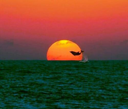 This photo about Hotel Trivento shared on HyHotel.com