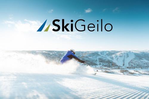 Cozy apartment near ski attractions in Geilo Cozy apartment near ski attractions in Geilo