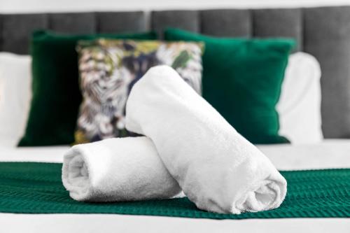 Luxury One Bedroom - Fast WiFi - Netflix - On Street Parking 2BR