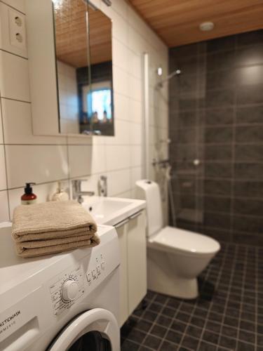 Baño, Kampuksen Hertta in Pori City Center Baño, Kampuksen Hertta in Pori City Center