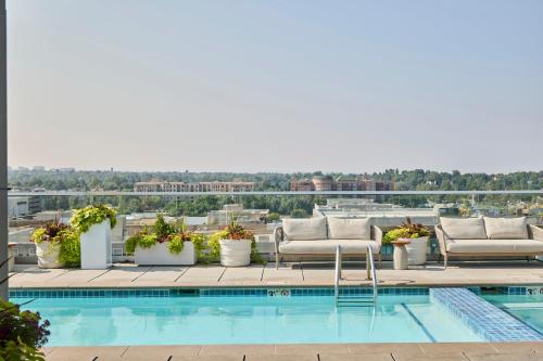 Úszómedence, Halcyon - A Hotel in Cherry Creek in Cherry Creek Úszómedence, Halcyon - A Hotel in Cherry Creek in Cherry Creek