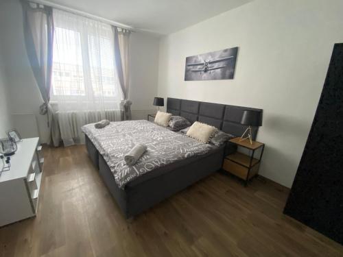 Cerna Ruze - Apartman 3 in Plzen 2 Cerna Ruze - Apartman 3 in Plzen 2