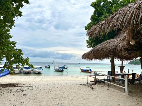 Beach, Sea Beach at Lipe near Sanom Beach Beach, Sea Beach at Lipe near Sanom Beach