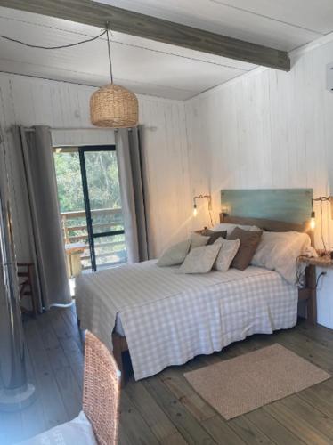 RosMarino in La Pedrera RosMarino in La Pedrera