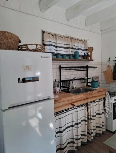 RosMarino in La Pedrera RosMarino in La Pedrera