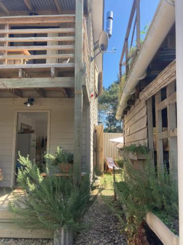 RosMarino in La Pedrera RosMarino in La Pedrera