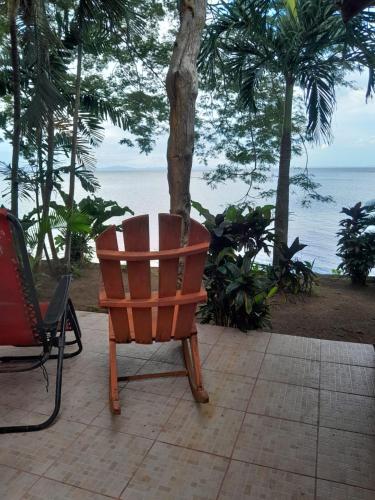 Vườn, Hostel Los Chocoyos in Mérida Vườn, Hostel Los Chocoyos in Mérida