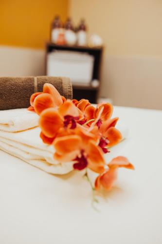 Spa, Dependance Strandperle - Hotel IV Jahreszeiten in 奧斯特西巴德庫倫伯恩 Spa, Dependance Strandperle - Hotel IV Jahreszeiten in 奧斯特西巴德庫倫伯恩