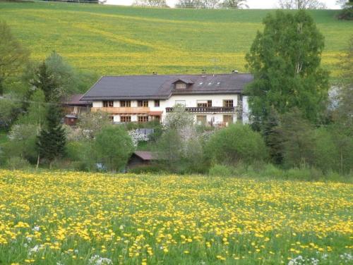 Exterior view, Pension Landhaus Riedelstein in Drachselsried Exterior view, Pension Landhaus Riedelstein in Drachselsried