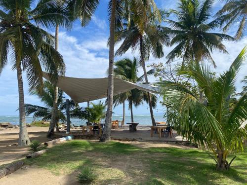 Beach, The Palm Bay Club Lodge in Nagua Beach, The Palm Bay Club Lodge in Nagua