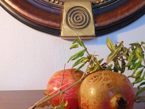 Villa Gaia Apartments in Alonissos Villa Gaia Apartments in Alonissos