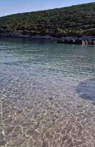 Villa Symphony apartments Kotor Tivat in Bigova Villa Symphony apartments Kotor Tivat in Bigova