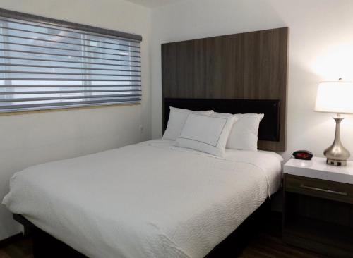 Kings Inn near The Gum Wall Kings Inn near The Gum Wall