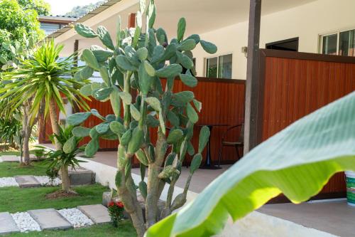 View, Chill Out Resort in Klong Tob Beach View, Chill Out Resort in Klong Tob Beach