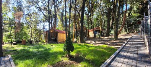 منظر, Cabañas Vive el Bosque (Cabanas Vive el Bosque) in Real Montecassino منظر, Cabañas Vive el Bosque (Cabanas Vive el Bosque) in Real Montecassino