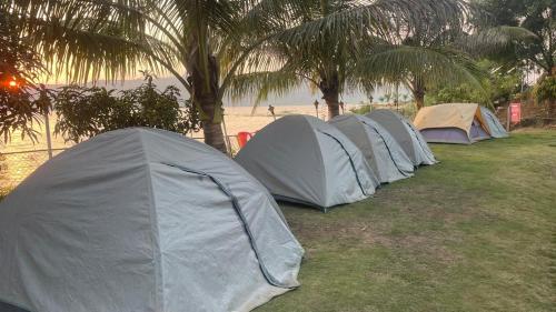 ll EMPYREAN STAY ll TENT CAMPING ll in Thakursai ll EMPYREAN STAY ll TENT CAMPING ll in Thakursai