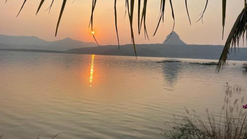 ll EMPYREAN STAY ll TENT CAMPING ll in Thakursai ll EMPYREAN STAY ll TENT CAMPING ll in Thakursai