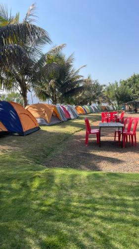 ll EMPYREAN STAY ll TENT CAMPING ll in Thakursai ll EMPYREAN STAY ll TENT CAMPING ll in Thakursai