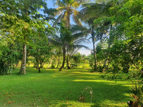 GreenHeart- Family Room-Micro Apartment, AC- Hot W, Garden View, separate Varanda & Dining Area - Tr in Maharagama GreenHeart- Family Room-Micro Apartment, AC- Hot W, Garden View, separate Varanda & Dining Area - Tr in Maharagama