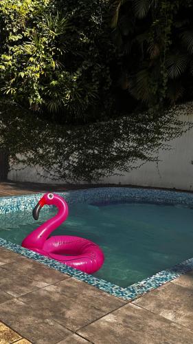 Swimming pool, Casa da natureza - Cosme Velho in Cosme Velho Swimming pool, Casa da natureza - Cosme Velho in Cosme Velho
