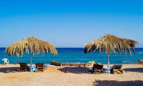 Beach, Acacia Camp in Nuweiba Beach, Acacia Camp in Nuweiba