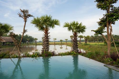 Swimming pool, Thala Tra Vinh in Cau Ke Swimming pool, Thala Tra Vinh in Cau Ke