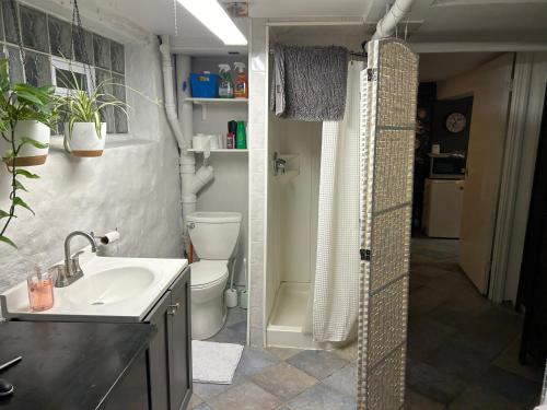 Private Studio Apartment-Pet Friendly in Downers Grove Private Studio Apartment-Pet Friendly in Downers Grove