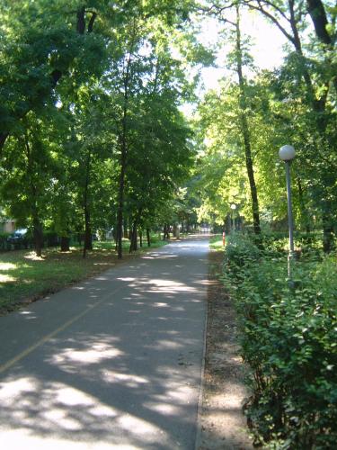 Garden, Park Vendeghaz in Kecskemet Garden, Park Vendeghaz in Kecskemet