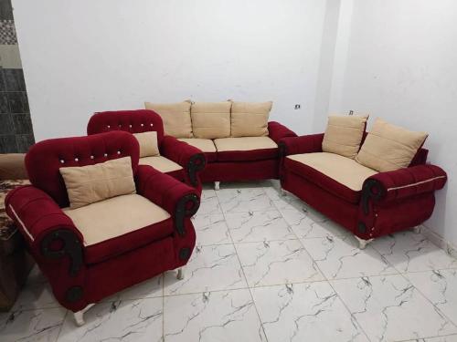 Um rasas bed and breakfast in Al Jizah Um rasas bed and breakfast in Al Jizah