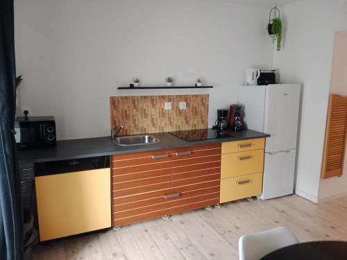 Pounette, appartement T2, centre thermes Luxeuil in Luxeuil-les-Bains Pounette, appartement T2, centre thermes Luxeuil in Luxeuil-les-Bains
