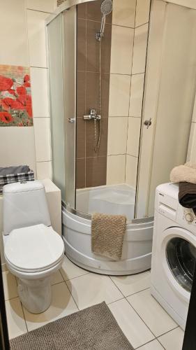 Crystal Family Apartment in Gulbene Crystal Family Apartment in Gulbene